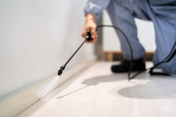 Licensed Pest Control service in North Logan, UT - Show Me Pest Control