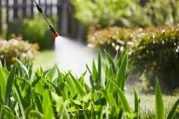 Tamper-Resistant Bait Stations for Rodents in North Logan