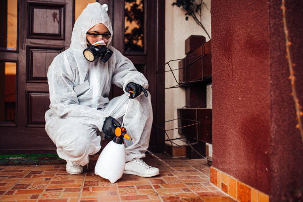 Attic and Crawl Space Rodent Treatment in North Logan