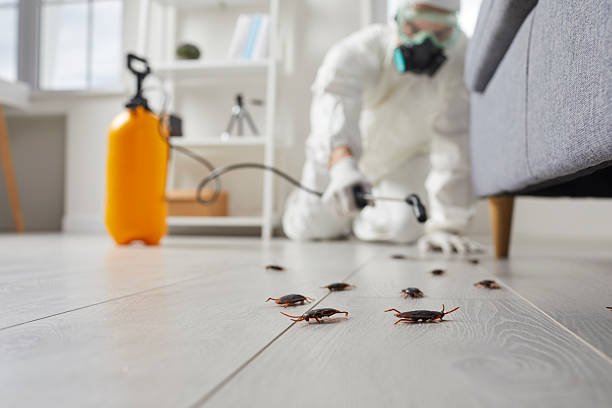 Commercial Rodent Management in North Logan